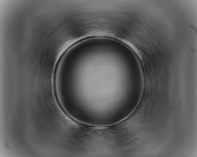 X0000091591343200708271234