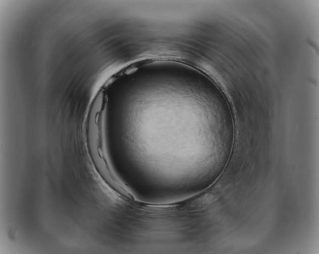 X0000091591344200708271234