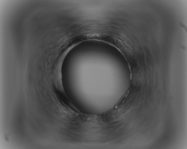 X0000091591345200708271234