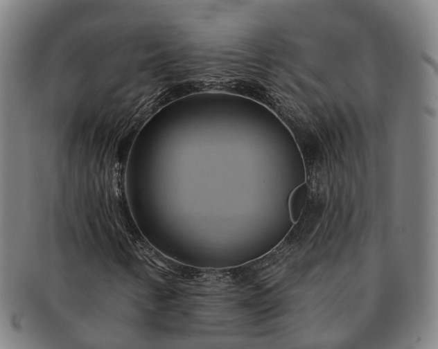 X0000091591346200708271234