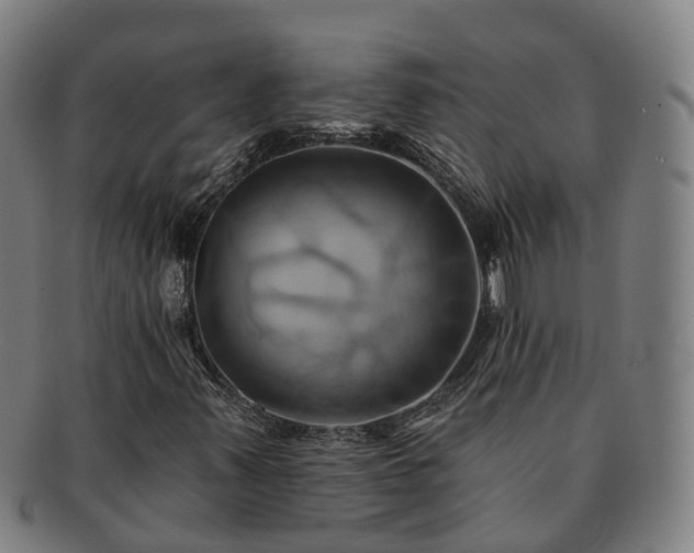 X0000091591347200708271234