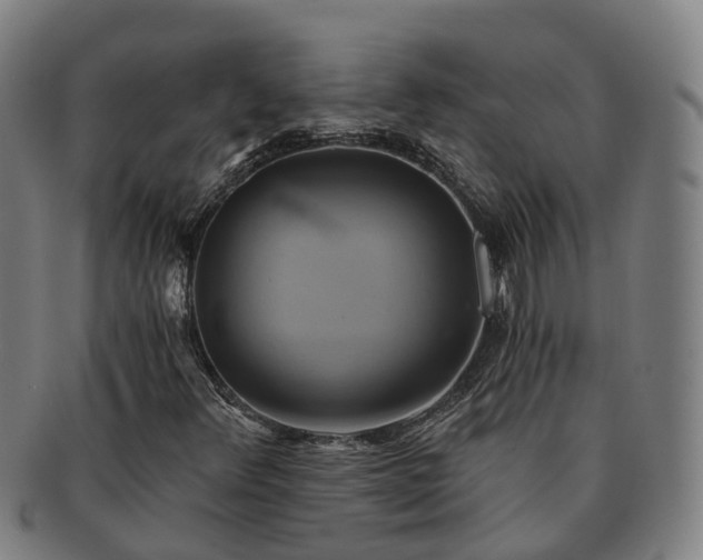 X0000091591348200708271234