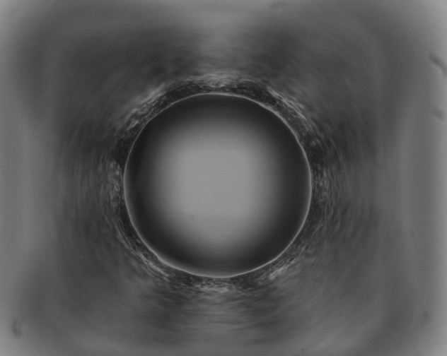 X0000091591349200708271234