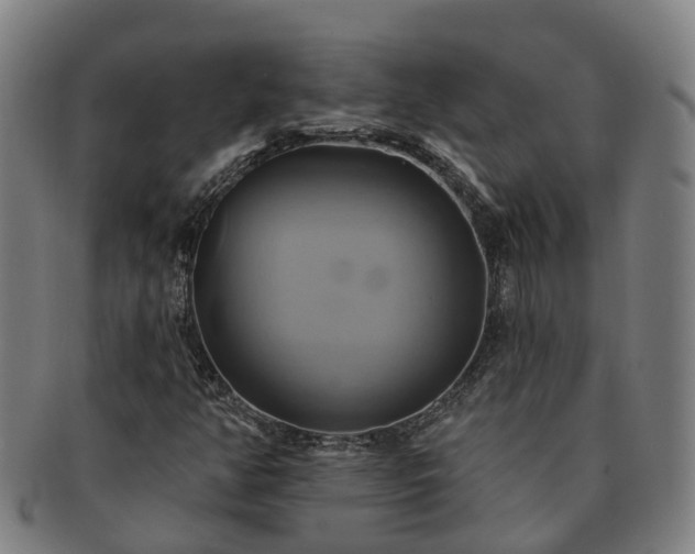 X0000091591350200708271234