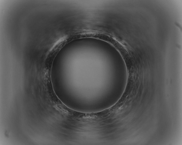 X0000091591351200708271234