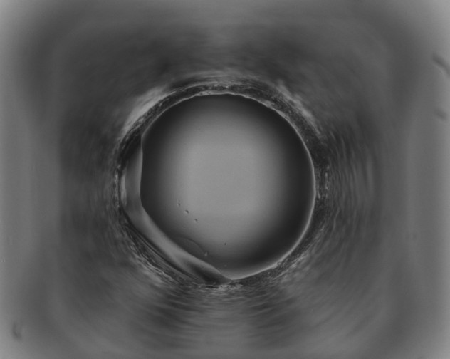 X0000091591352200708271234