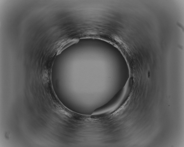 X0000091591353200708271234