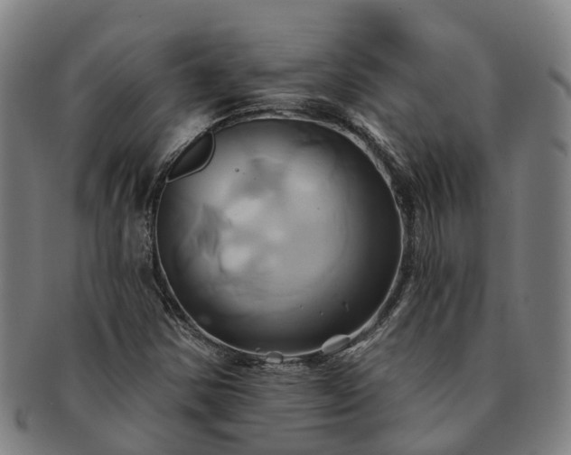 X0000091591354200708271234