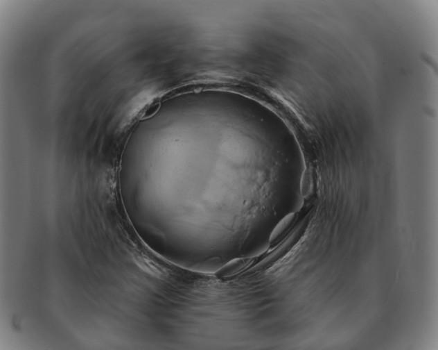 X0000091591355200708271234