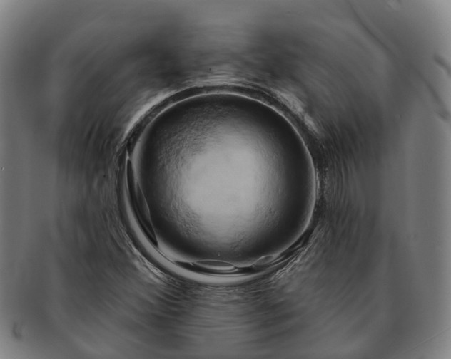 X0000091591356200708271234