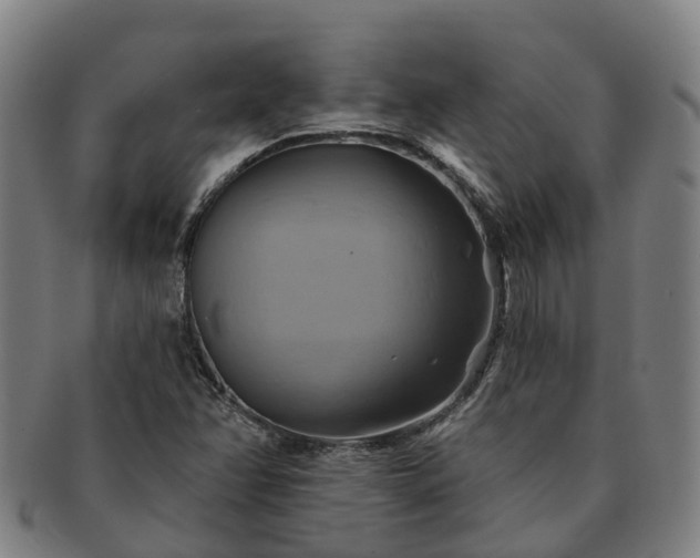 X0000091591358200708271234