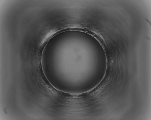 X0000091591359200708271234