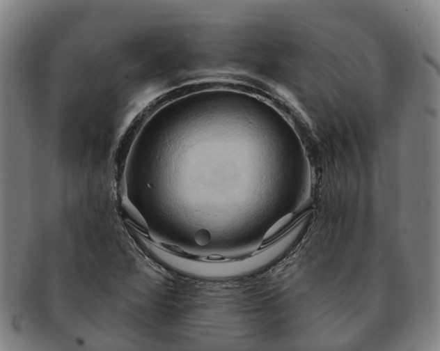 X0000091591360200708271233