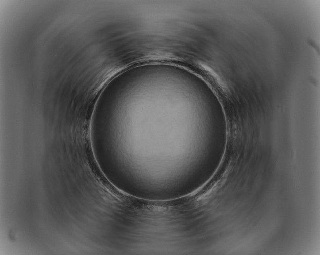 X0000091591361200708271233