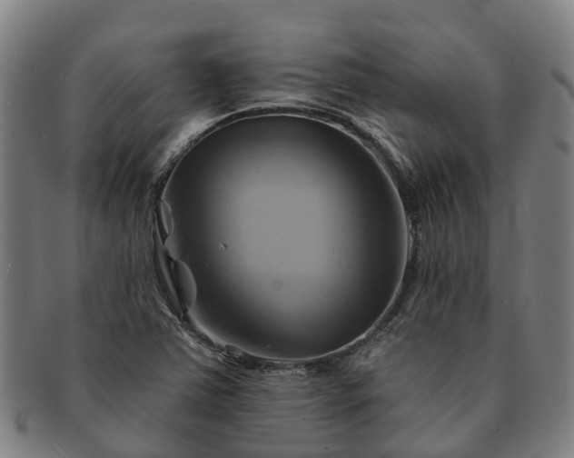 X0000091591363200708271233