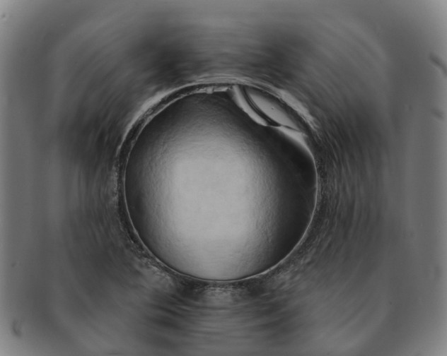 X0000091591364200708271233