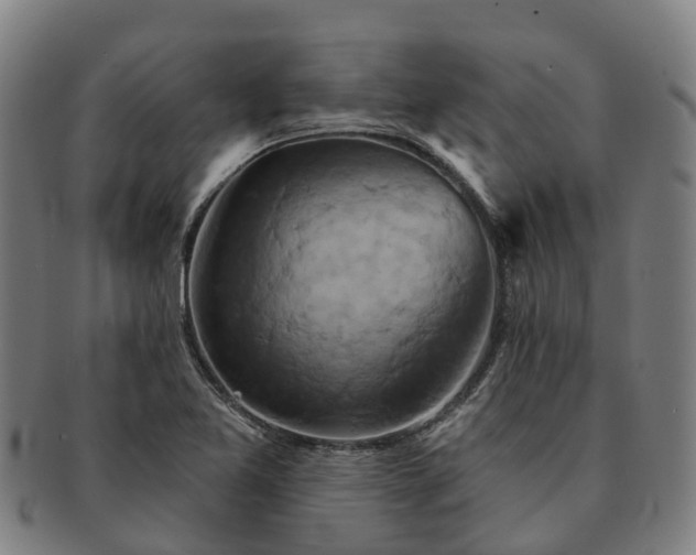 X0000091591365200708271233