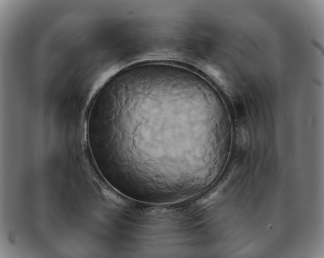 X0000091591366200708271233