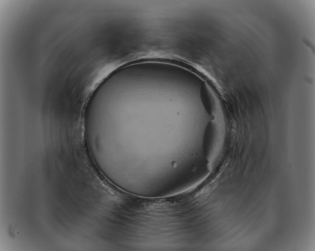 X0000091591367200708271233