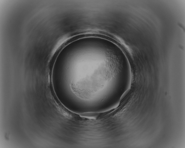X0000091591368200708271233
