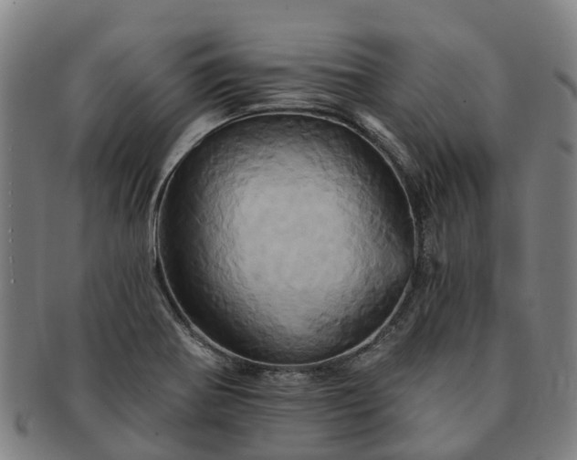 X0000091591370200708271233