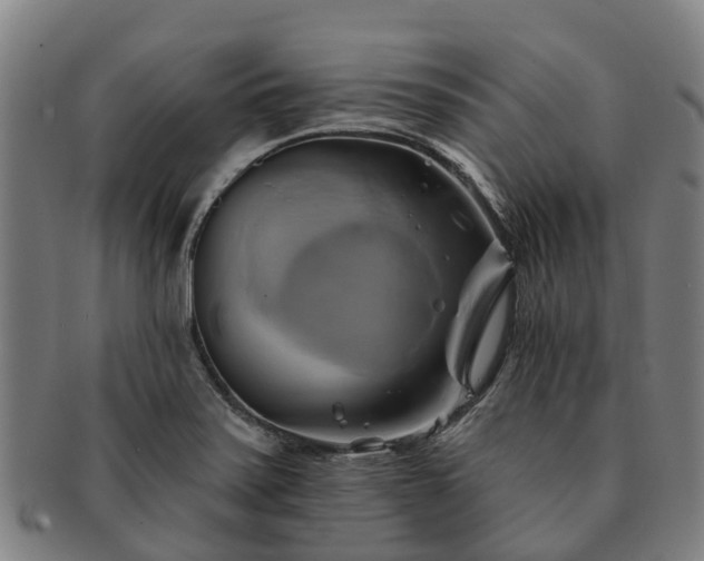 X0000091591371200708271233