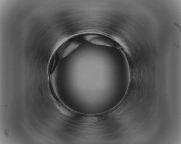 X0000091591372200708271233