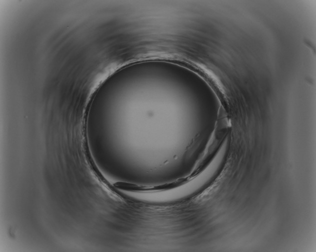 X0000091591373200708271233