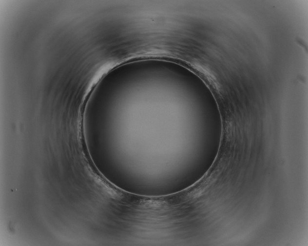 X0000091591374200708271233