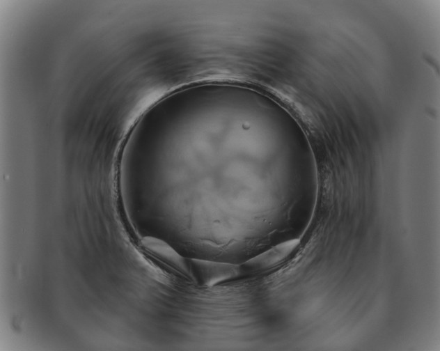 X0000091591375200708271233