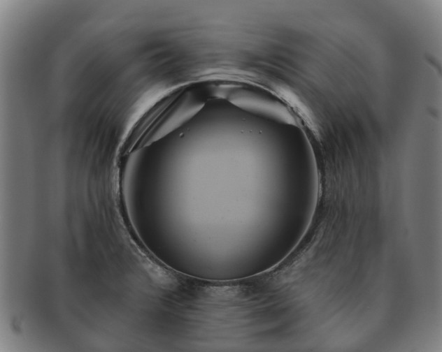 X0000091591376200708271233