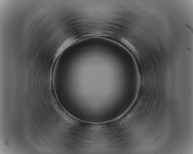X0000091591378200708271233