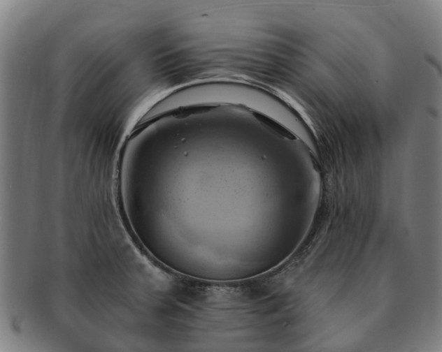 X0000091591379200708271233