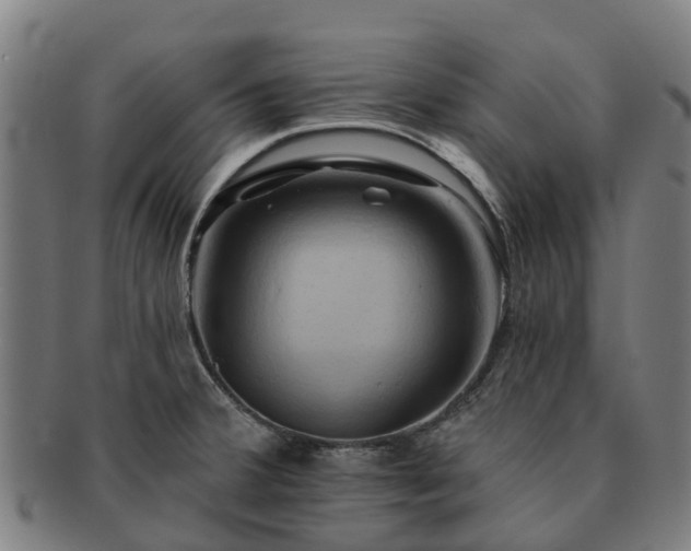 X0000091591380200708271233