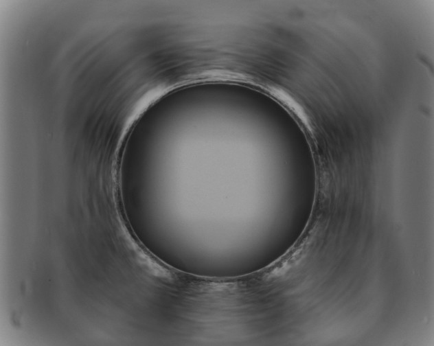 X0000091591381200708271233