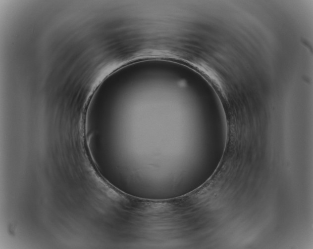 X0000091591382200708271233