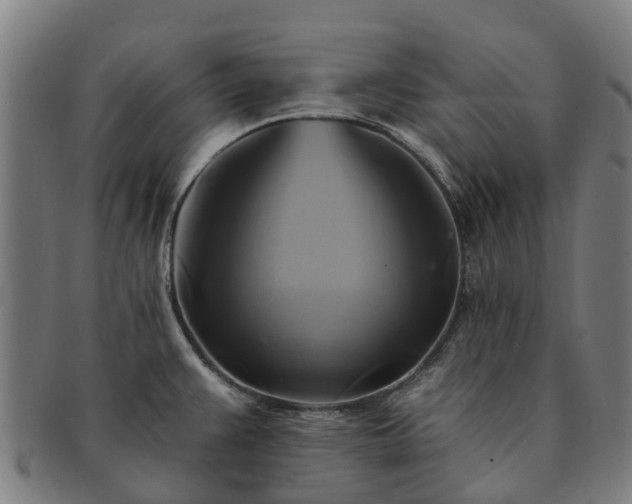 X0000091591383200708271233