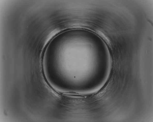 X0000091591384200708271233