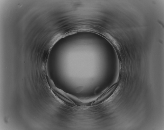X0000091591385200708271233