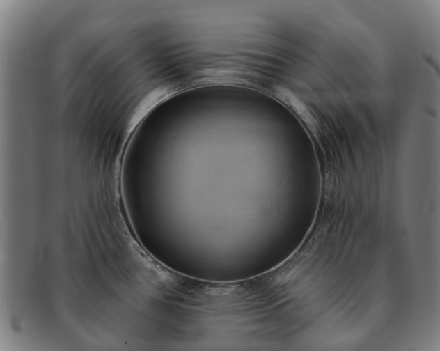 X0000091591386200708271233