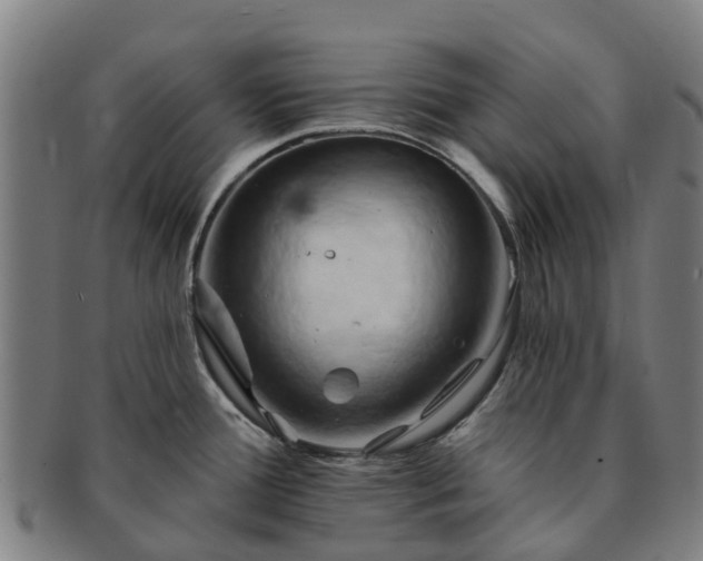 X0000091591388200708271233