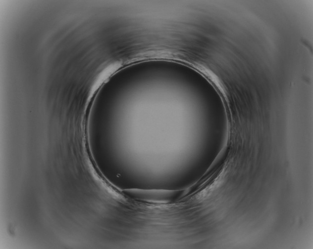 X0000091591389200708271233