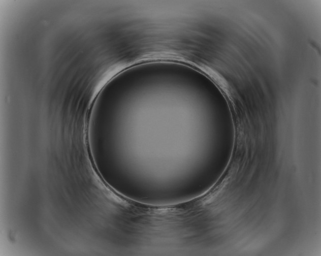 X0000091591390200708271233