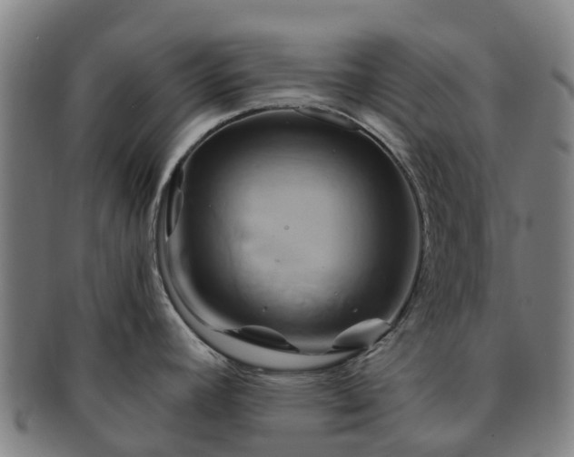 X0000091591392200708271233