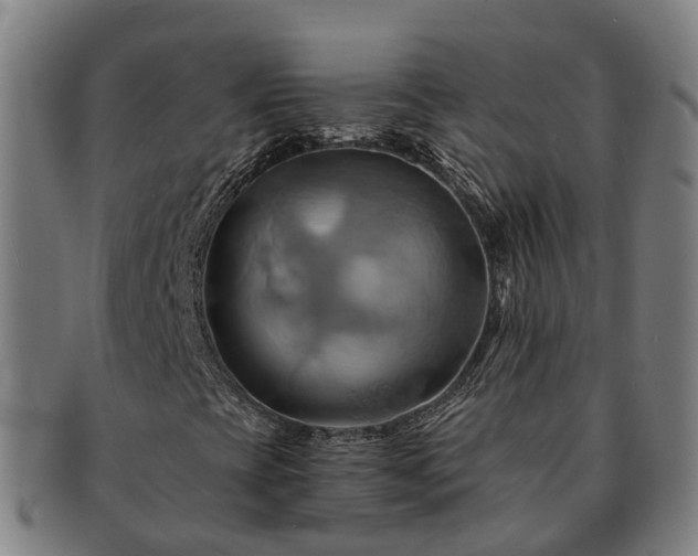 X0000091591393200708271232