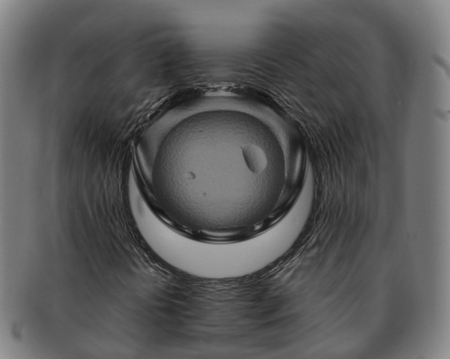 X0000091591394200708271232