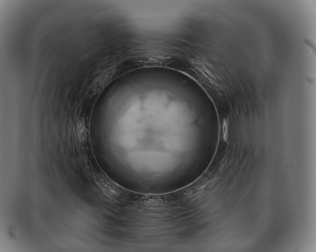 X0000091591395200708271232