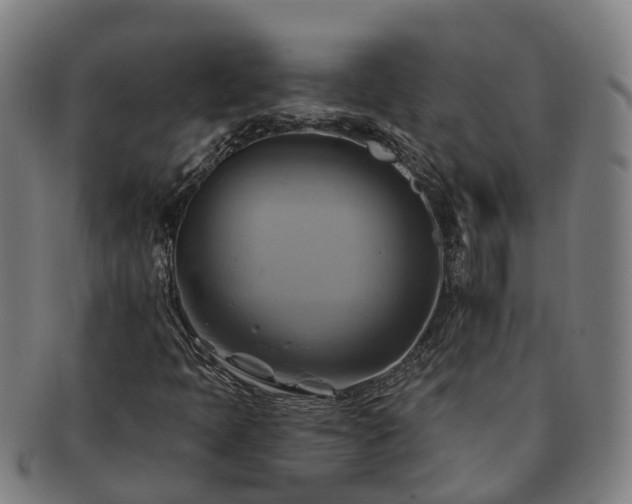 X0000091591397200708271232