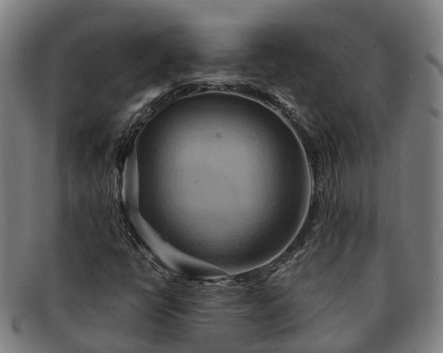 X0000091591398200708271232