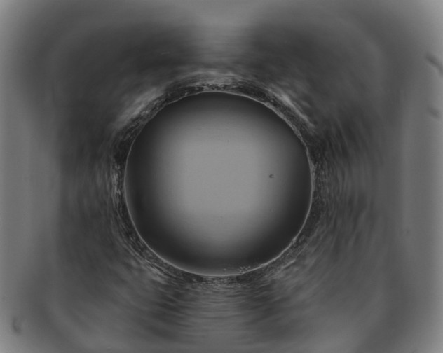 X0000091591399200708271232